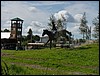 80_1_09843759524225 (93).jpg