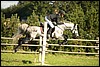 80_Lagedi Derby 492.JPG