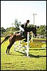 80_Lagedi Derby 500.JPG