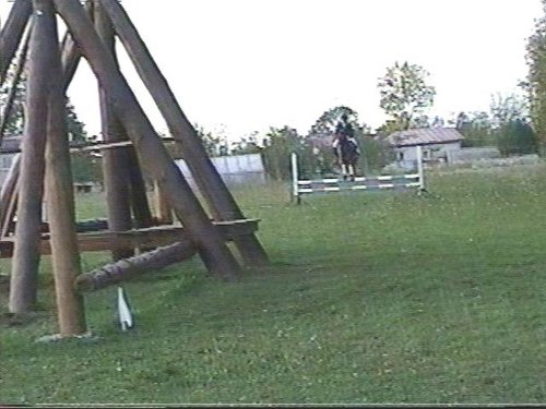 lattaed_Helve_2.jpg