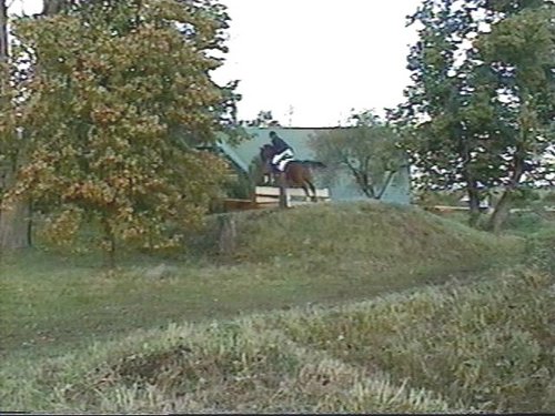 magi_Helve_3.jpg