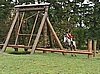 rintsukiigel_2.jpg